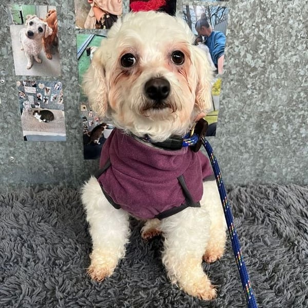 Revenna - Hero Image