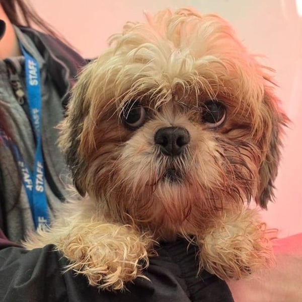 Rheaquin - Hero Image