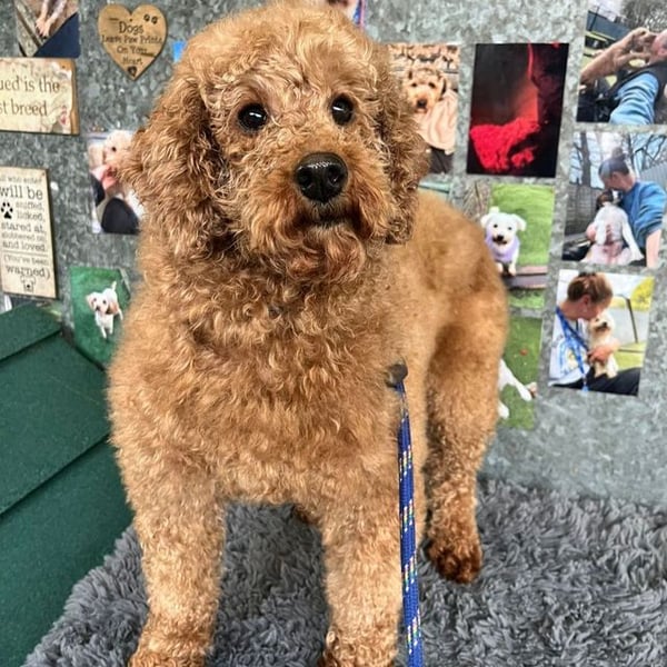 Rivenly - Hero Image