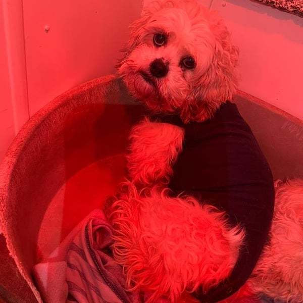 Rivenook - Hero Image