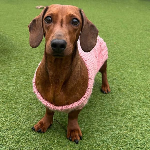 Spaghetti - Hero Image