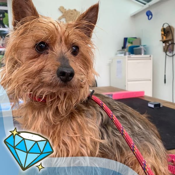 Winnie - Hero Image