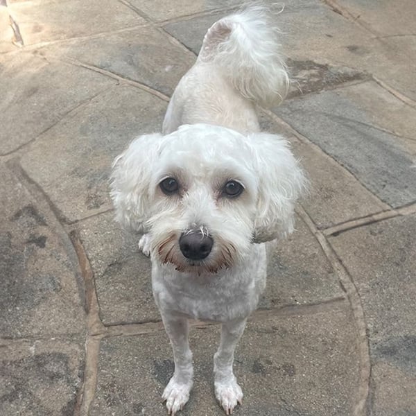 Delilah - Hero Image