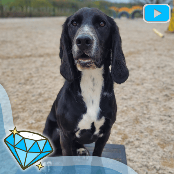 Margate - Hero Image