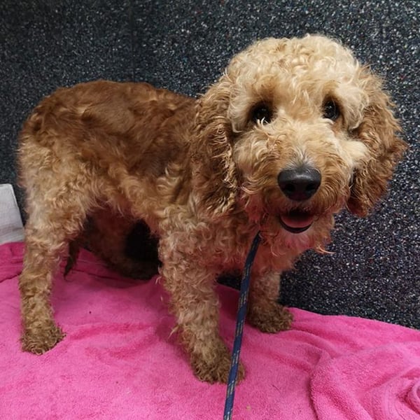 Umbrella - Hero Image