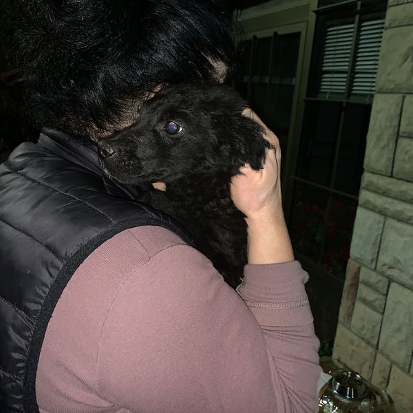Blake - Hero Image