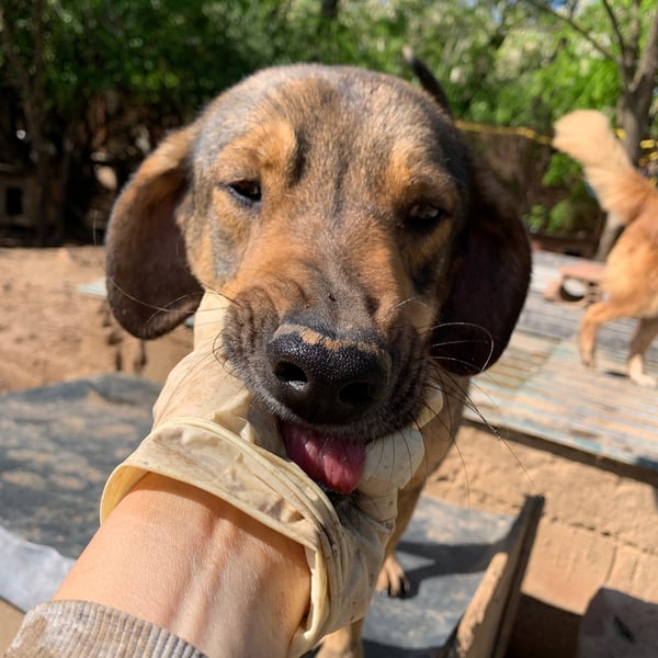 Ljubica - Hero Image