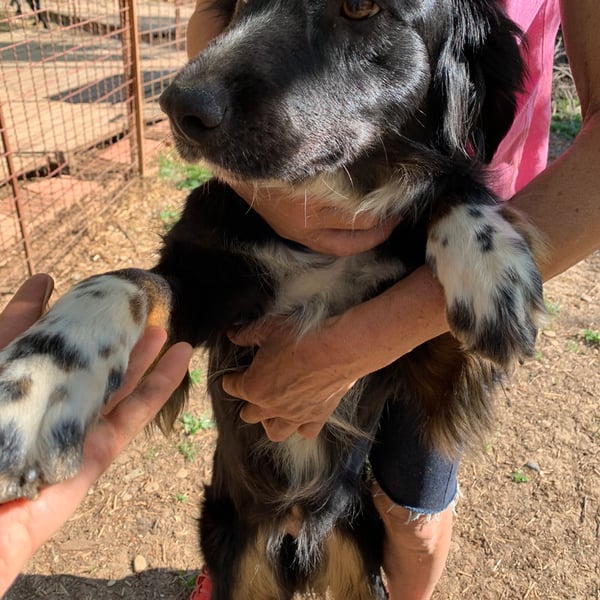 Pablita - Hero Image