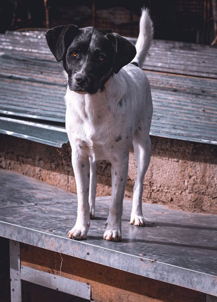 Sam - Hero Image