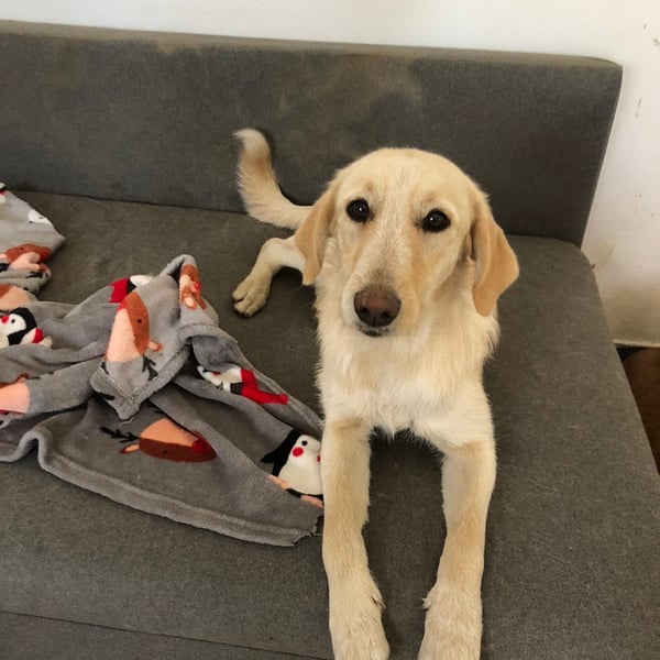 Sretenka - Hero Image