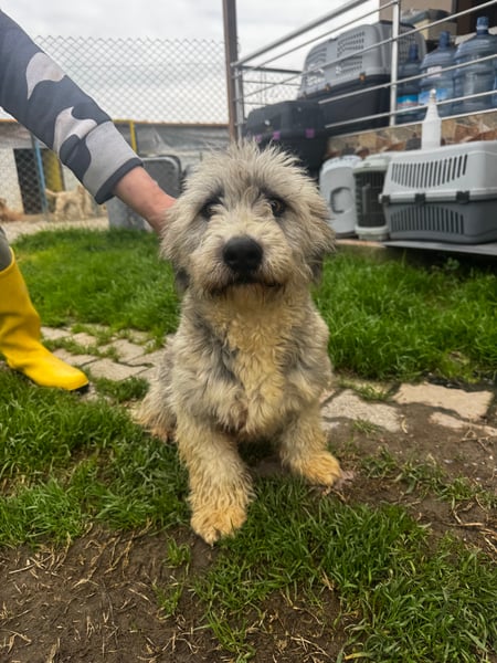 Blossom - Hero Image