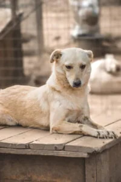 Arizona 2 - Hero Image