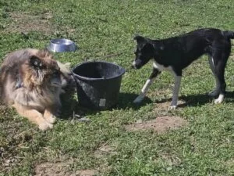 Arizona - Hero Image