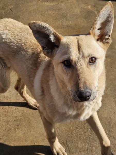 Barnaby - Hero Image