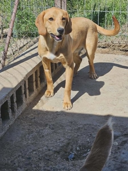 Bobby C - Hero Image