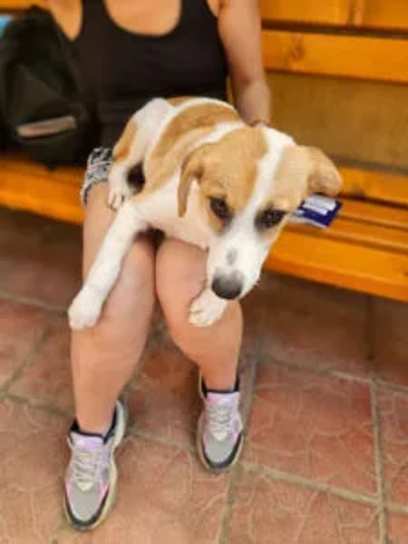 Candice - Hero Image