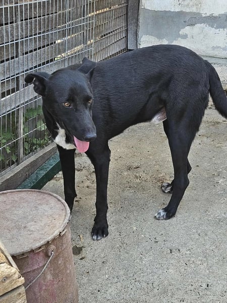 Jackson 2 - Hero Image