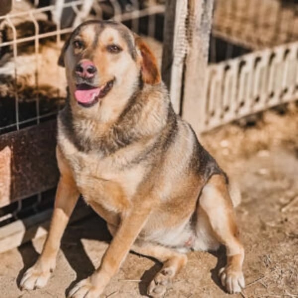 Payton 2 - Hero Image