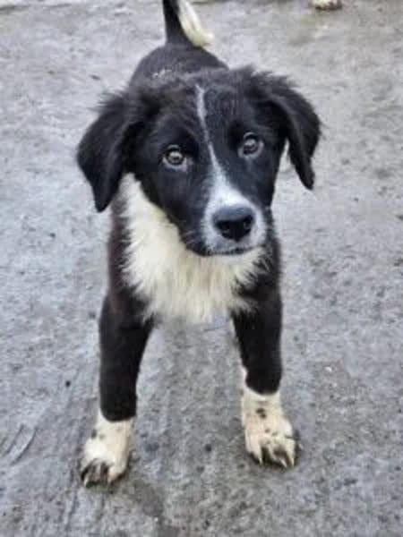 Tucker - Hero Image