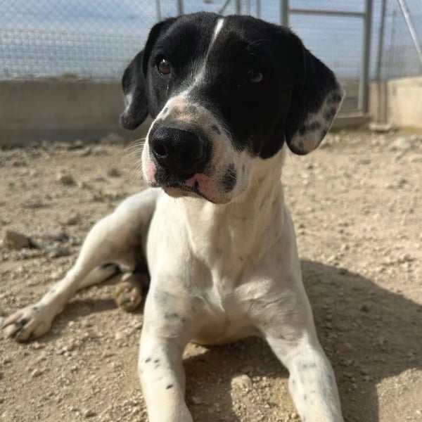 Skittles - Hero Image