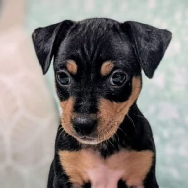 Aquiles - Hero Image