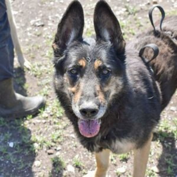 Assunta - Hero Image