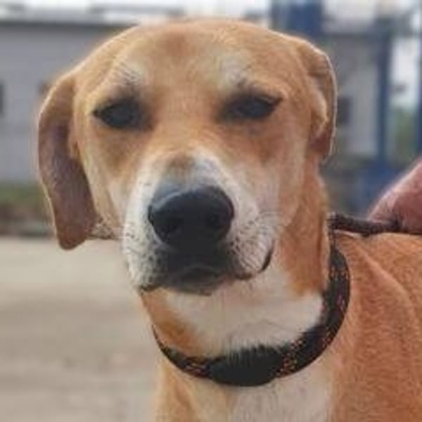 Baxter - Hero Image