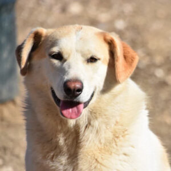 Berinesse - Hero Image