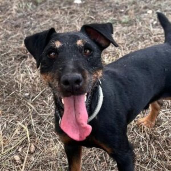 Big foot - Hero Image