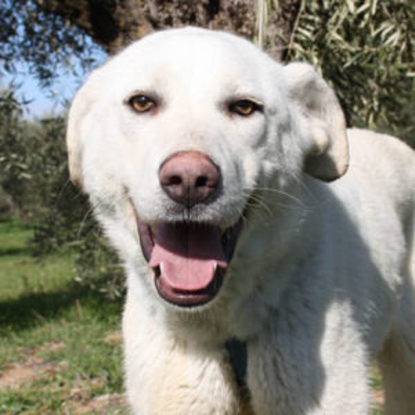 Bohemia - Hero Image