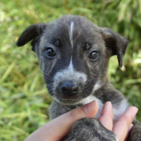 Brösel - Hero Image