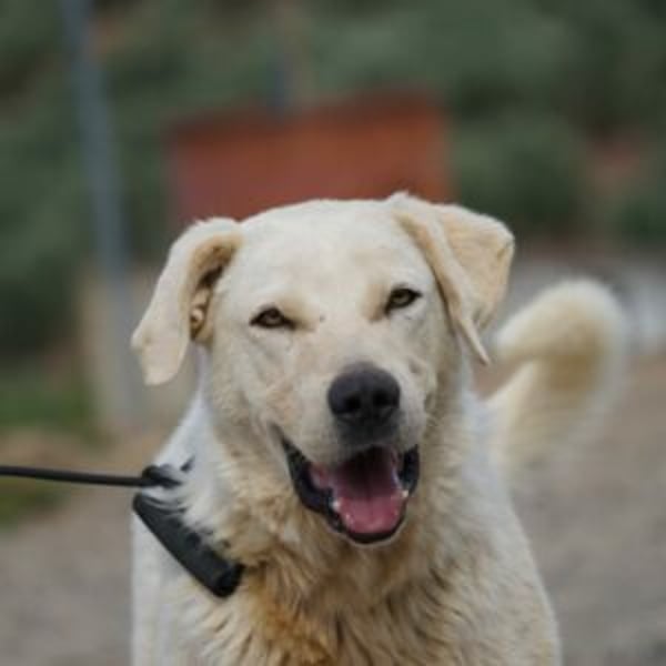Bunti - Hero Image