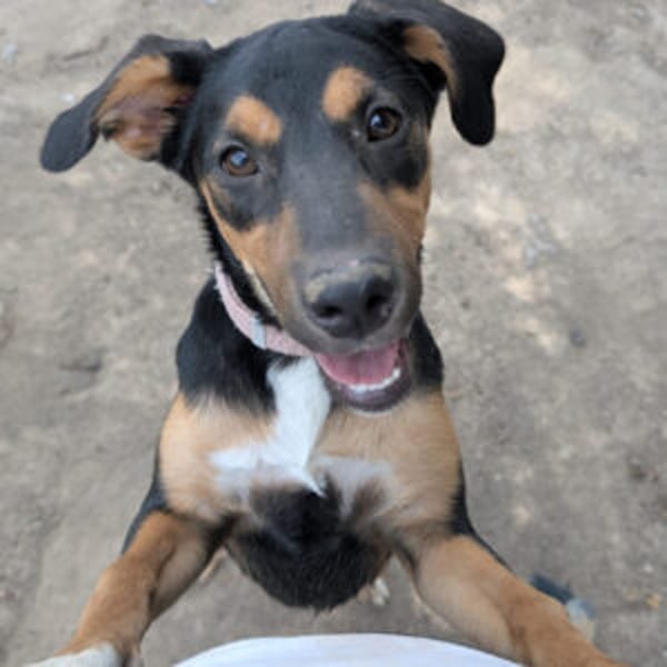 Calíope - Hero Image