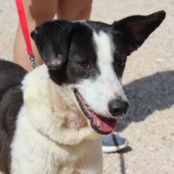 Cantalar - Hero Image