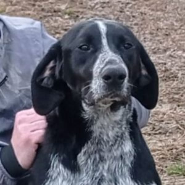 Carmela - Hero Image