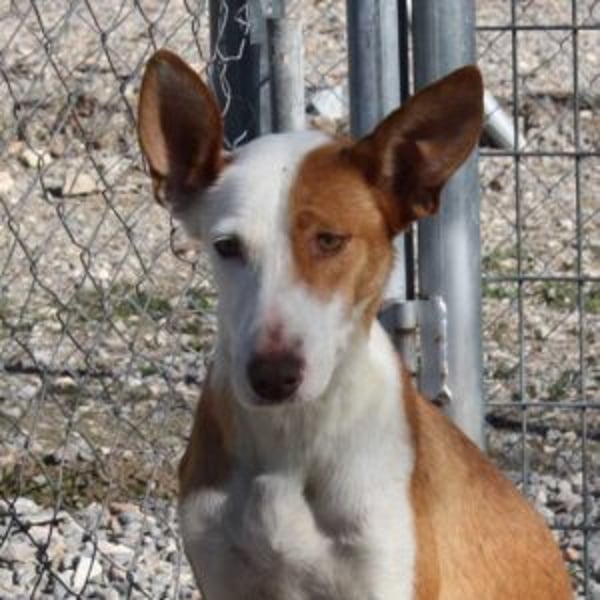 Carolina - Hero Image