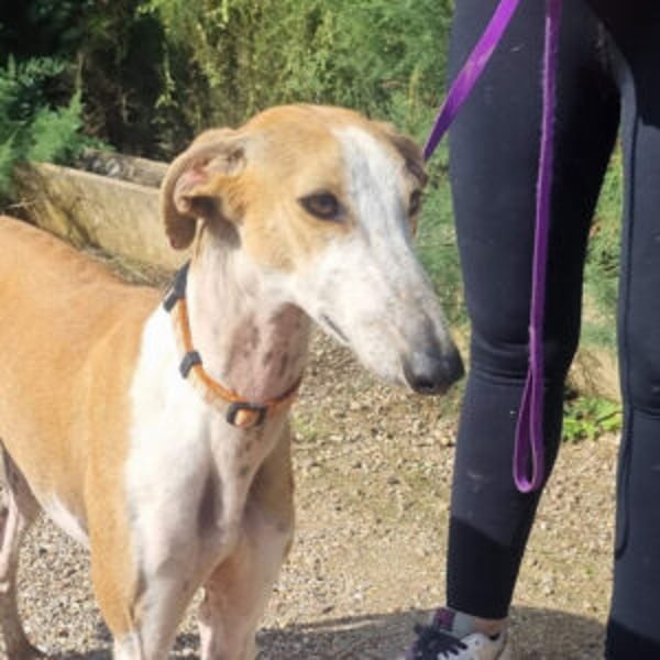 Carolina - Hero Image