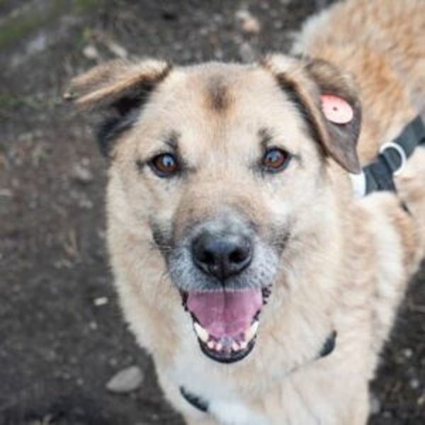 Cassius - Hero Image