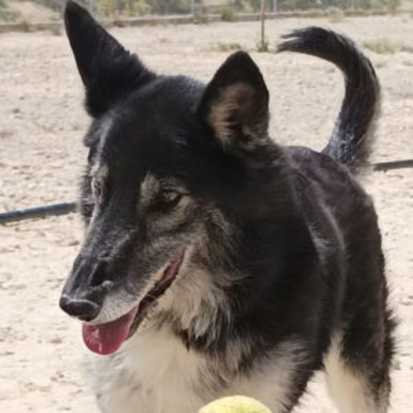 Cleissy - Hero Image