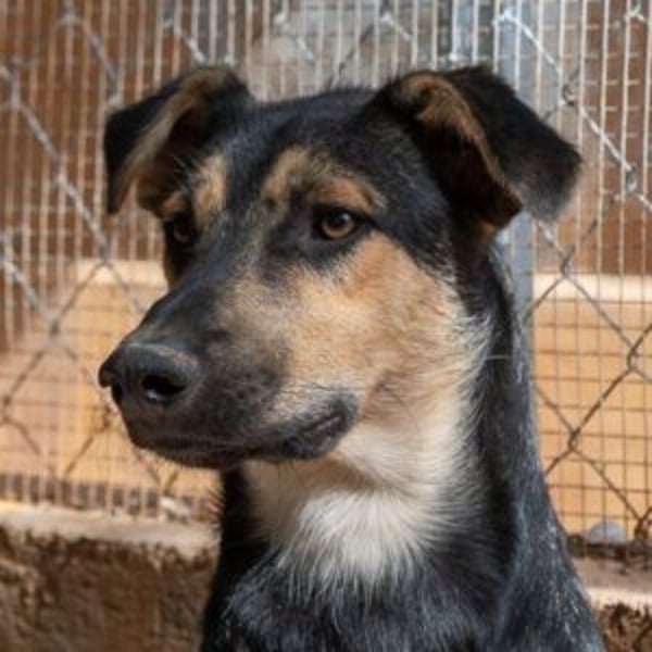 Cooper - Hero Image