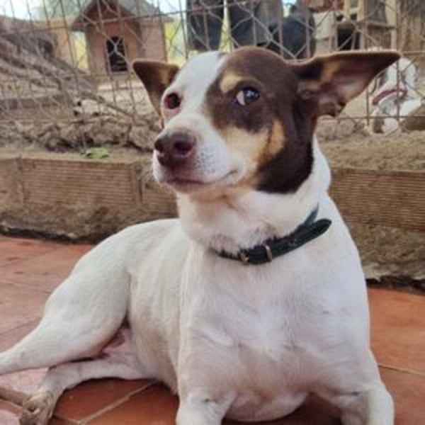 Cuqui - Hero Image