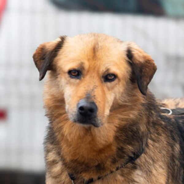 Eleonor - Hero Image