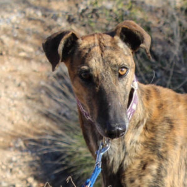 Esteban - Hero Image