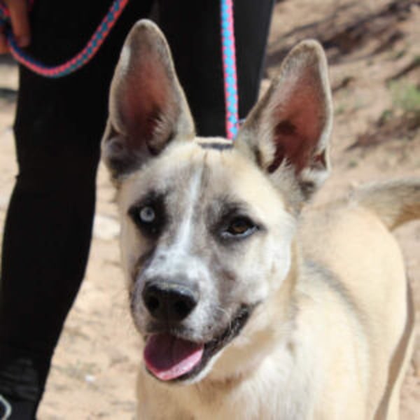 Gebriel - Hero Image