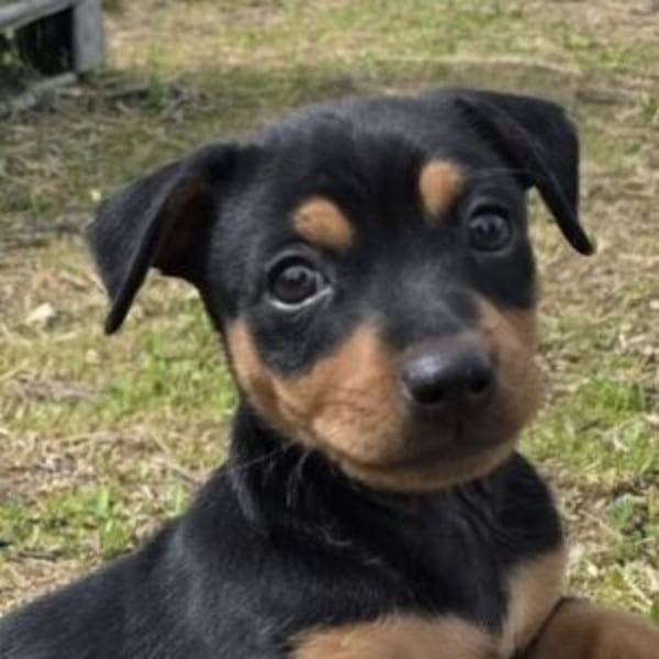 Héctor - Hero Image