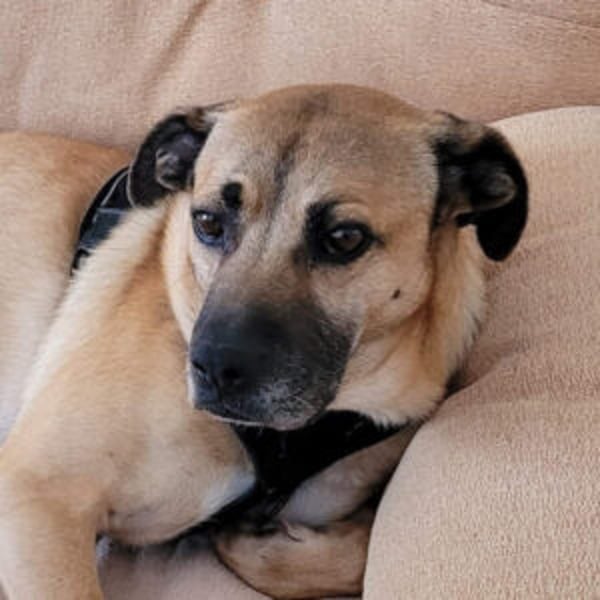 Hercules - Hero Image