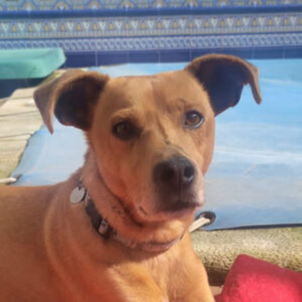 Leonardo - Hero Image