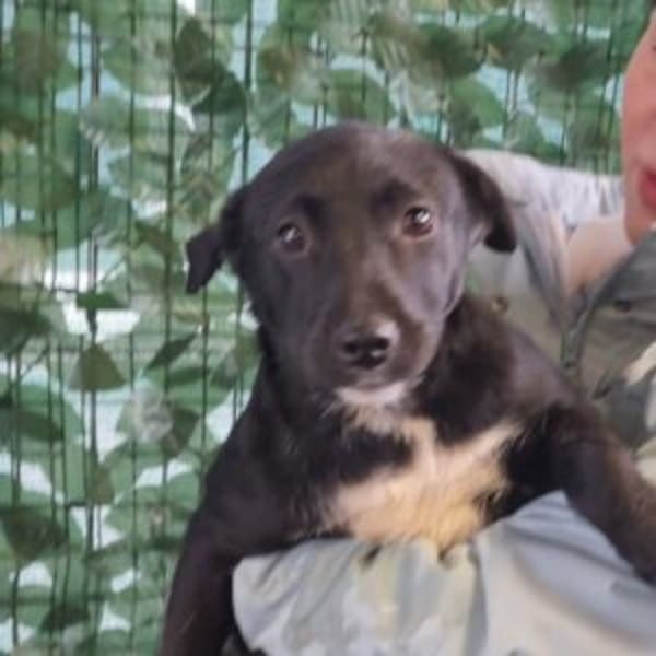 Lorette - Hero Image