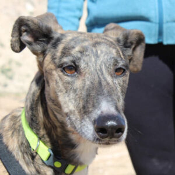 Mariana - Hero Image