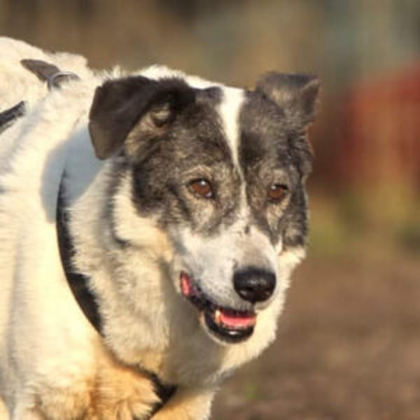 Marie-Curie - Hero Image